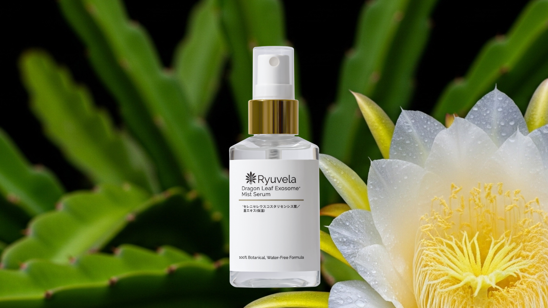 Ryuvela（リュヴェラ）公式通販サイトを開設しました。